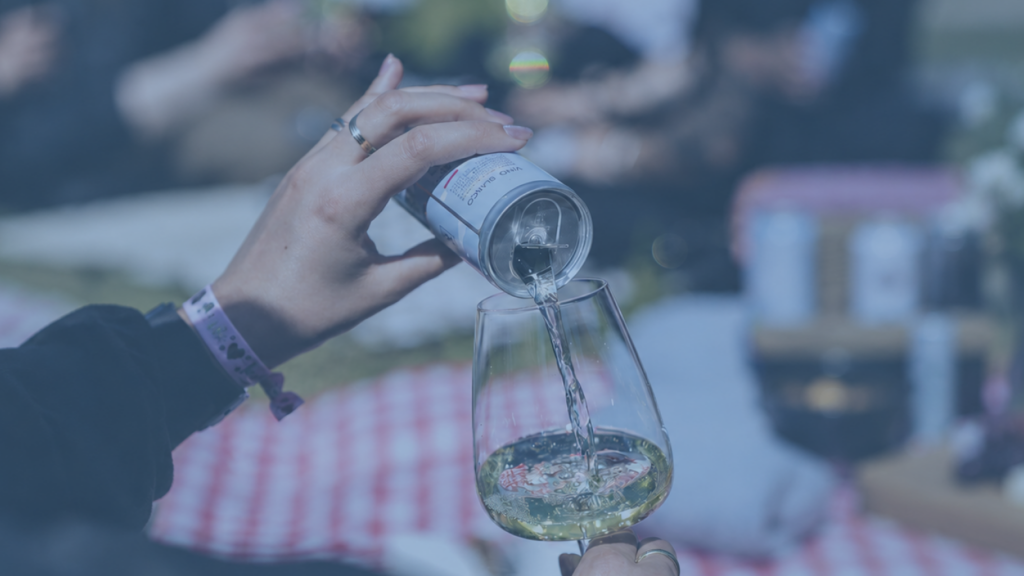Picnic con un calice di vino